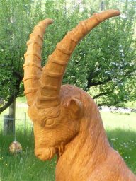 tj13-14 pferde titel oeschs 139